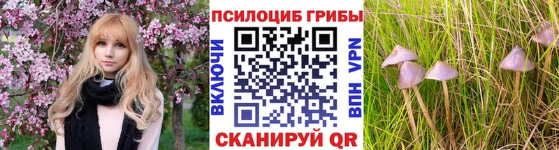 наркота  Пятигорск  Псилоцибиновые грибы мухоморы 